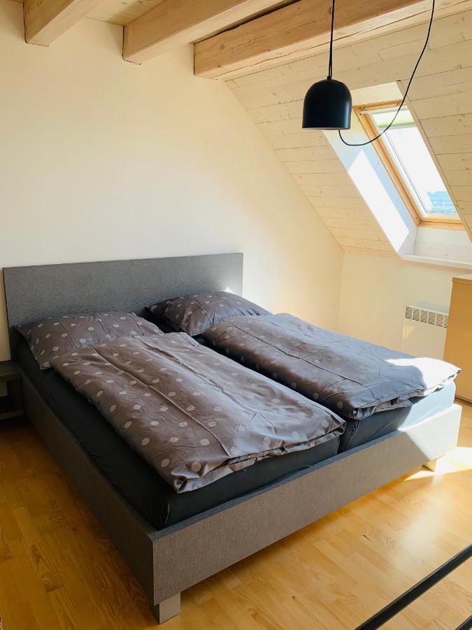 Dovolena Bez Starosti - Apartman U Venuse Pavlov Exterior foto